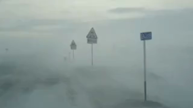 Кадры из видео