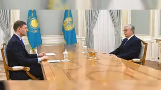 Токаев принял главу Казахстанской федерации шахмат Тимура Турлова