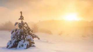 Морозы до 30 градусов. Какая погода ожидает казахстанцев 25 января