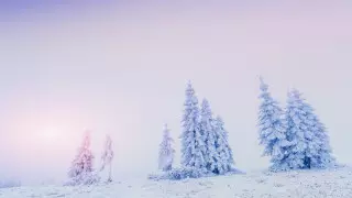 Минус 32 на востоке и плюс 4 на юге: какая погода ожидает казахстанцев 27 января