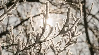 Ветер, снег и потепление: погода в Казахстане в выходные