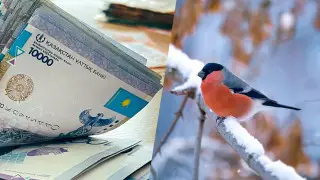 Что изменится в жизни казахстанцев в феврале