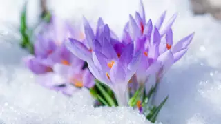 Сильные осадки и до 12 градусов тепла: погода на 3 дня в Казахстане