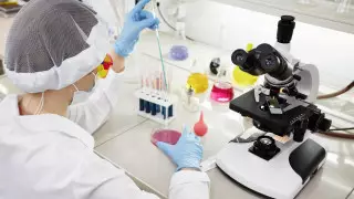 "Нужно пересмотреть систему оценки исследований и ученых - Локшин о казахстанской науке