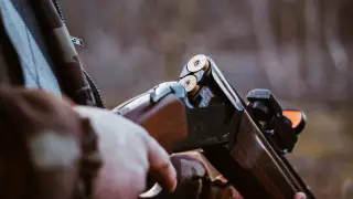 Полиция Павлодара ищет человека, подстрелившего собаку