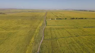 Земли компаний Болата Назарбаева вернули государству: появились подробности