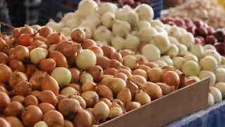 Тонны лука пытались незаконно вывезти из Костанайской области