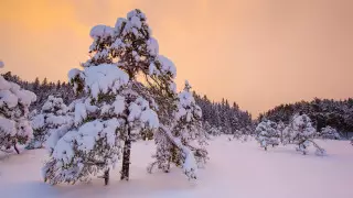 Морозы до 31 градуса и метели: погода в Казахстане 10 февраля