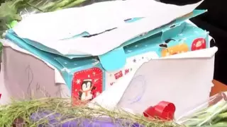 В посольстве Турции прослезились, увидев пожертвование маленькой астанчанки