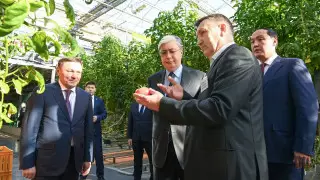 Токаеву показали, как выращивают огурцы и помидоры в казахстанских теплицах