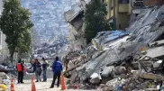 Масштабы землетрясений в Турции оценили в ВОЗ
