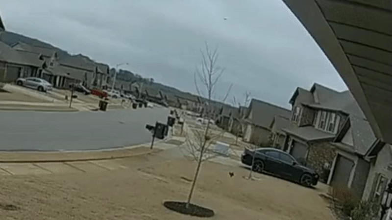 Кадры из видео