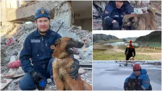 Четвероногие герои из Казахстана. Что известно о собаках-спасателях в Турции