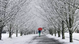 Гроза, дожди и ветер: погода в Казахстане на 3 дня