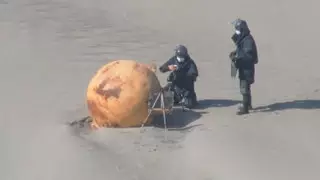 Загадочный шар нашли на побережье Японии