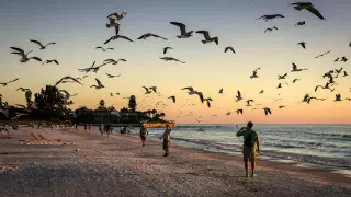 Вооружились птичьим пометом: названа новая схема обмана туристов