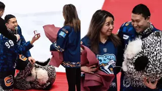 "Барсик, ты ли это?". Оригинальное предложение руки и сердца сняли на видео