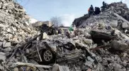 Собак и лошадь обнаружили живыми под обломками спустя почти месяц после землетрясений в Турции