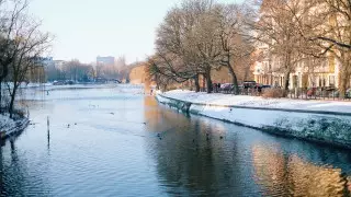В Европе зафиксировали вторую самую теплую зиму за всю историю наблюдений