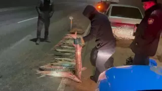 Свыше 120 килограммов контрабандного осетра изъяли  в Мангистау