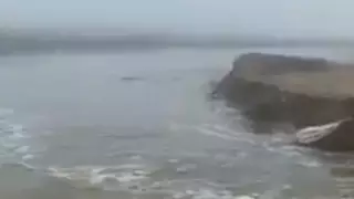 Дамбу прорвало в ЗКО: жителей эвакуируют