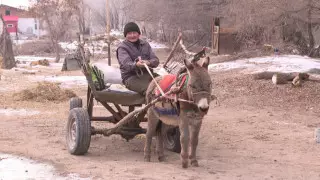 "Один на 15 тысяч". Необычный пенсионер живет в Алматинской области
