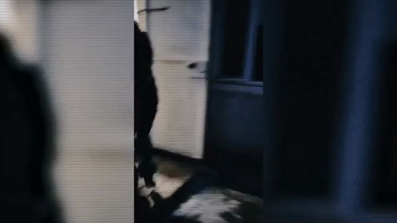 Кадры из видео