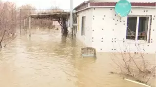 "Без жилья, еды и одежды": Гуманитарную помощь собирают для пострадавших от паводков казахстанцев