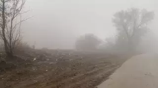 Красивое ущелье близ Алматы завалили мусором: акимат назвал виновников