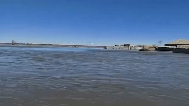 кадры из видео