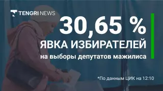 Явка казахстанцев на выборы депутатов составила 30,65 процента