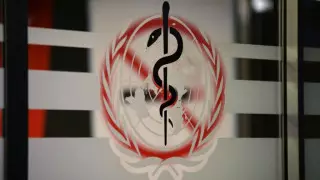 ВОЗ предупредила о "высоком риске" распространения холеры в мире