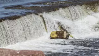 Разливы и подтопления: синоптики предупредили жителей 4 областей Казахстана