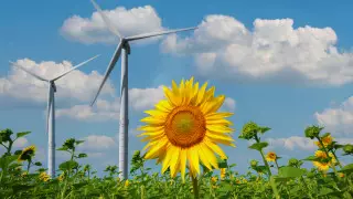 В Берлине провалился референдум за более амбициозные климатические цели