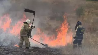 В горах Алматы тушили пожар