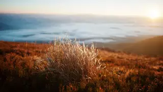 Сильный ветер, заморозки и дожди: погода в Казахстане 31 марта