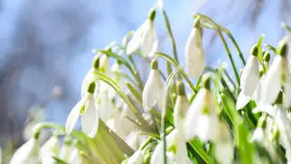 Какая погода ждет казахстанцев в выходные дни