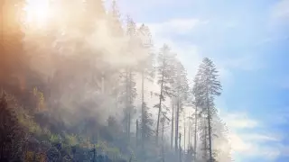 Ночные заморозки и туман: погода в Казахстане 4 апреля