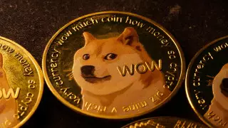 Илон Маск изменил логотип Twitter