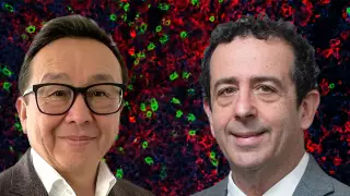 Современные методы лечения рака. Алмаз Шарман поговорил с профессором из Гарварда