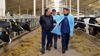 В СКО запустили новую молочную ферму