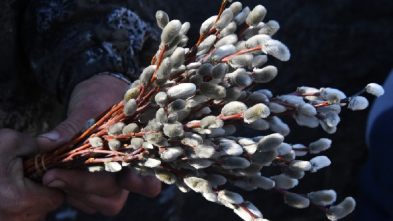 © РИА Новости