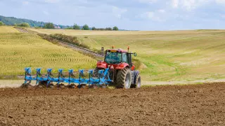 "Такие фамилии как бы..." В МСХ рассказали о махинациях с субсидиями