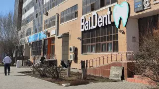 Срубивших деревья в центре Астаны проверит полиция