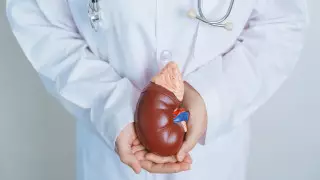 Депутат попросила разрешить казахстанцам пересадку почек за деньги