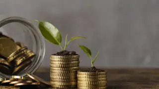 "Короткие" вклады для бизнеса: что предлагают банки