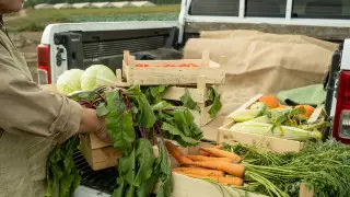 Что будет с ценами на продукты после подорожания бензина. Мнения экспертов