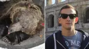 В Италии разгорелись споры о судьбе медведя-убийцы