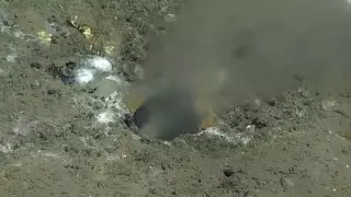 Обнаруженная на дне Тихого океана дыра может спровоцировать "мегаземлетрясение"