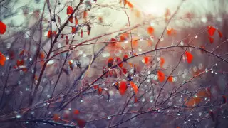 Антициклон из Скандинавии: прогноз погоды на 3 дня озвучили синоптики